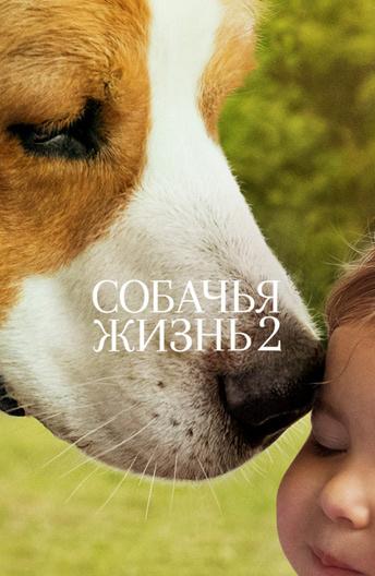 Собачья жизнь 2 2019 Смотреть Онлайн Бесплатно в Хорошем Качестве